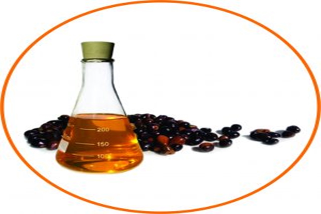 ACEITE-PALMISTE-CIRCULO-300x300